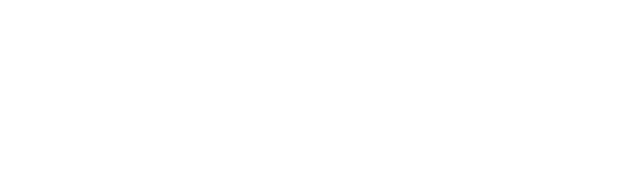 Main Logo